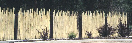 decrative coyote fence with aspen poles built by greenleaf forestry craftsmen
